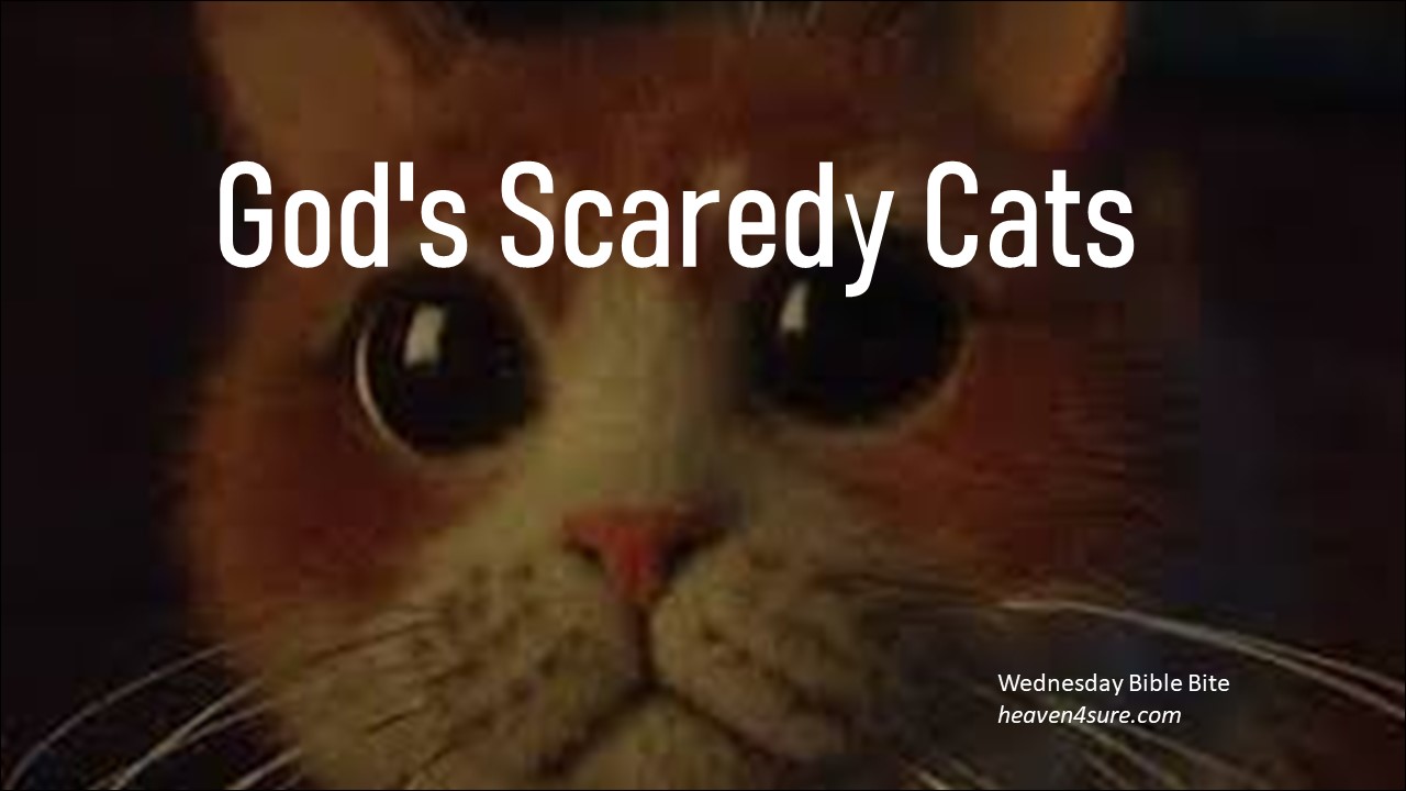 God's Scaredy Cats - Heaven4Sure